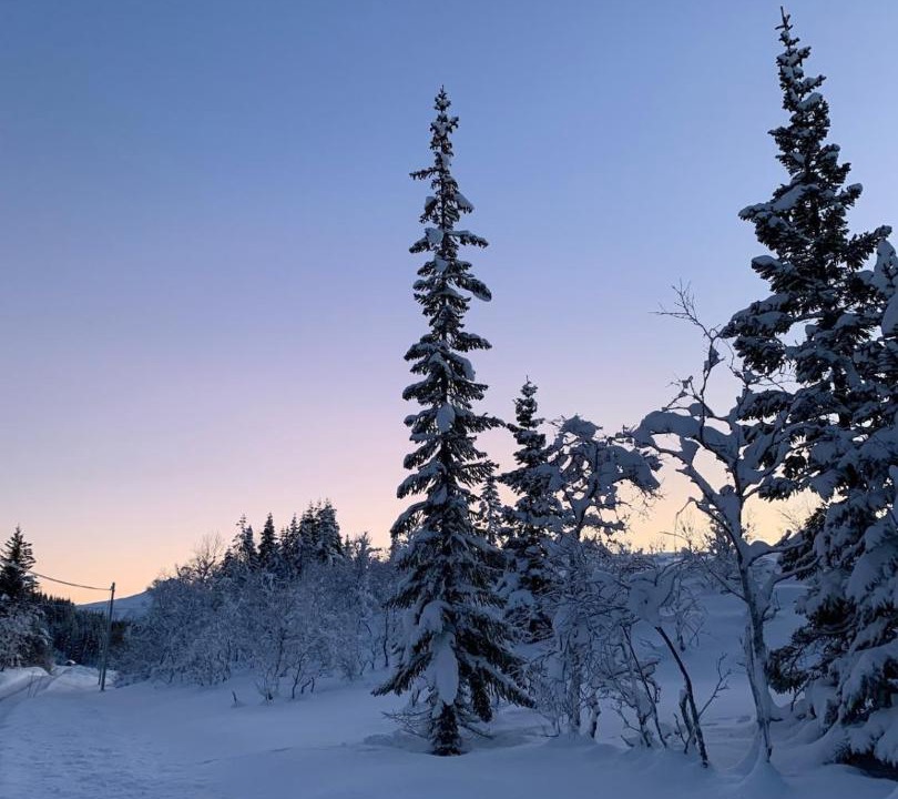 Photo of Others in Knarrvika