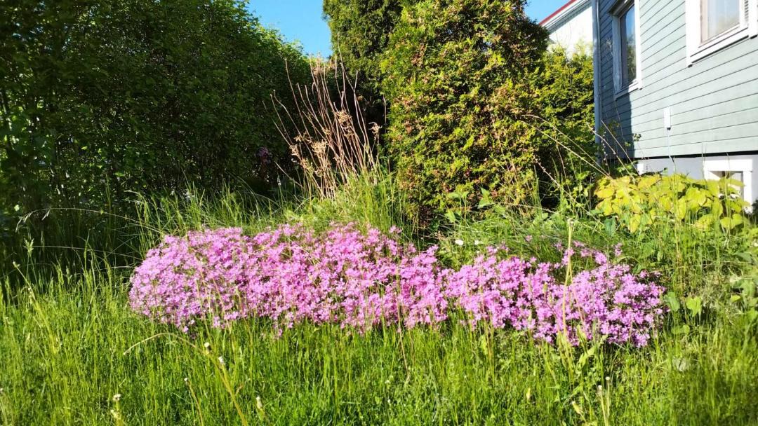 Photo of Outdoor in Lahti
