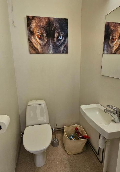 Photo of Bathroom in Loppa