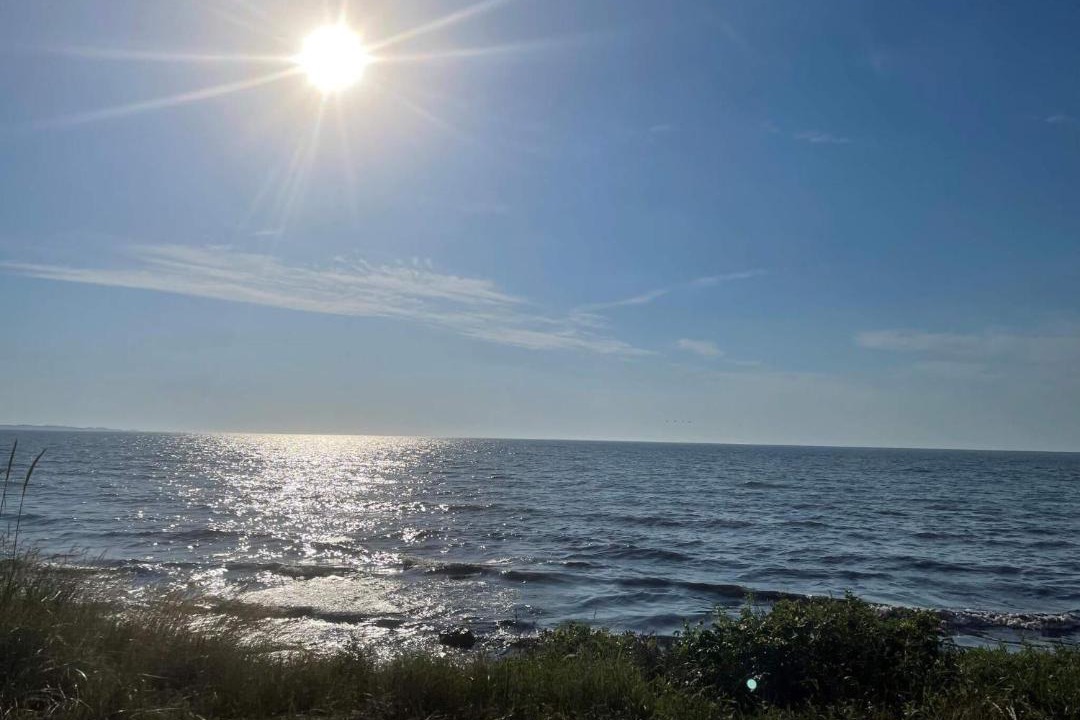 Photo of Others in Beddingestrand