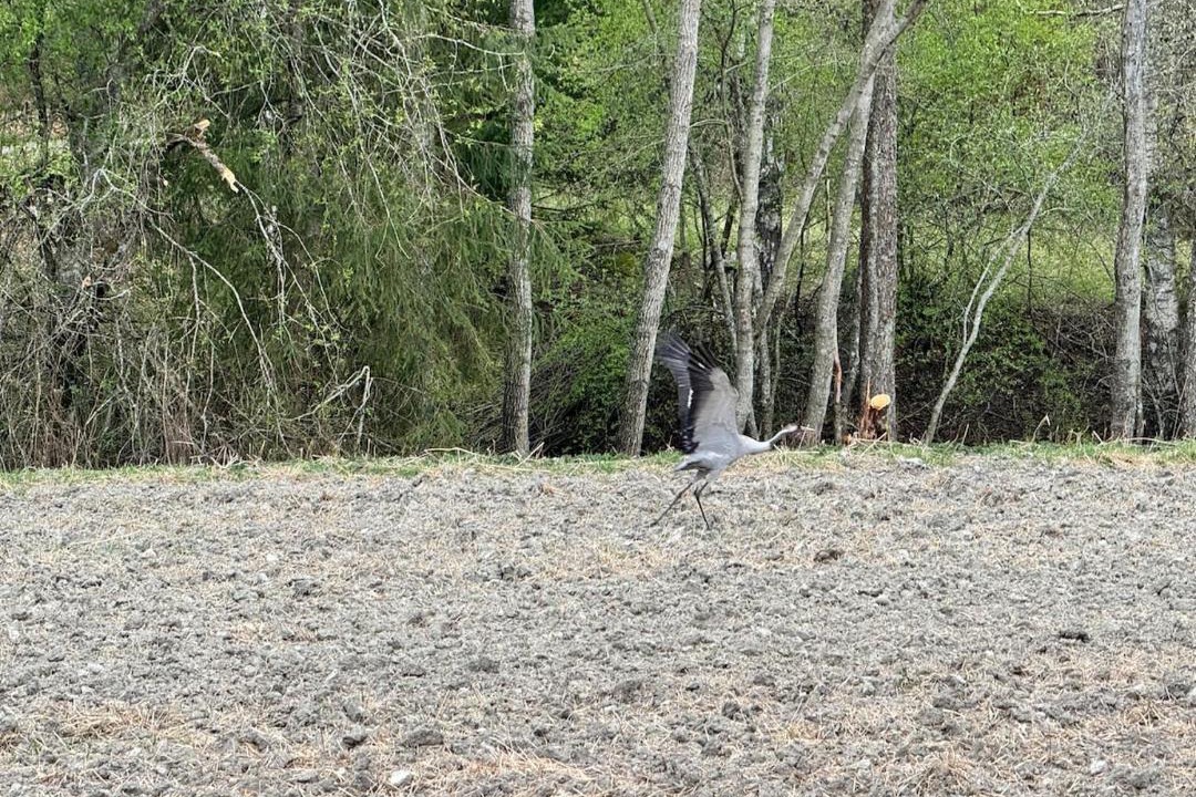 Photo of Others in Raseborg