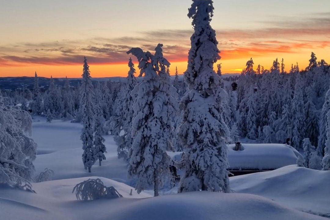 Photo of Others in Ringerike Municipality