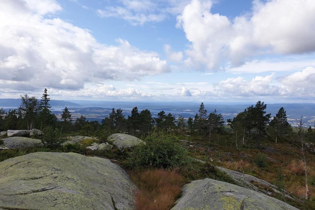 Photo of Others in Ringerike Municipality