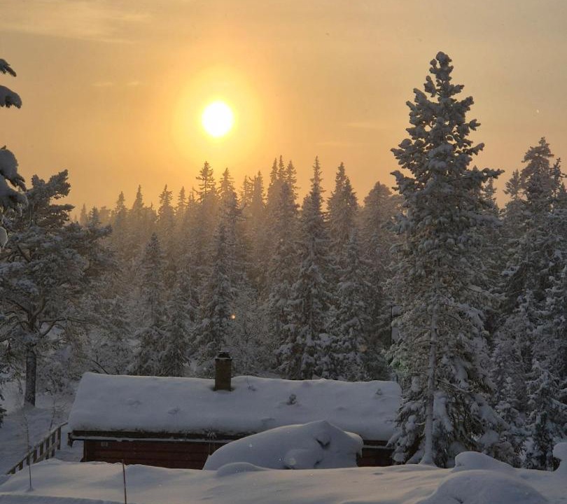 Photo of Others in Ringerike Municipality