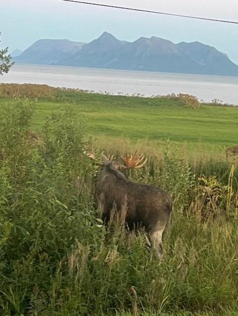 Photo of Others in Dverberg