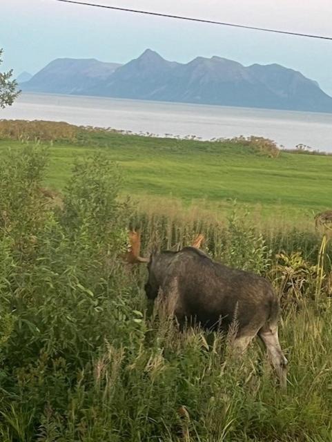 Photo of Others in Dverberg