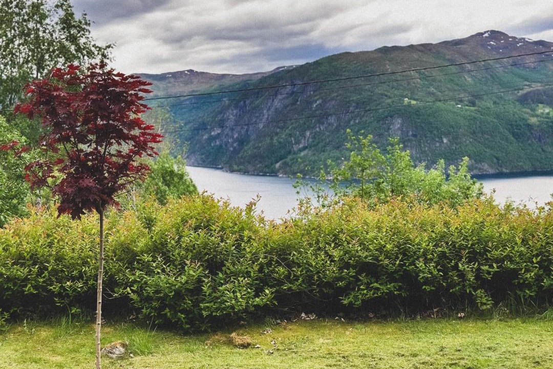 Photo of Others in Stordal