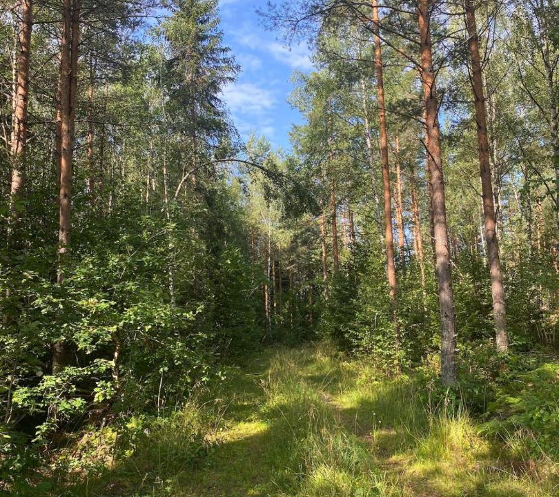 Photo of Others in Norrtalje