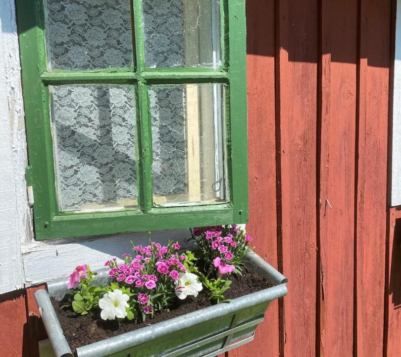 Photo of Others in Norrtalje