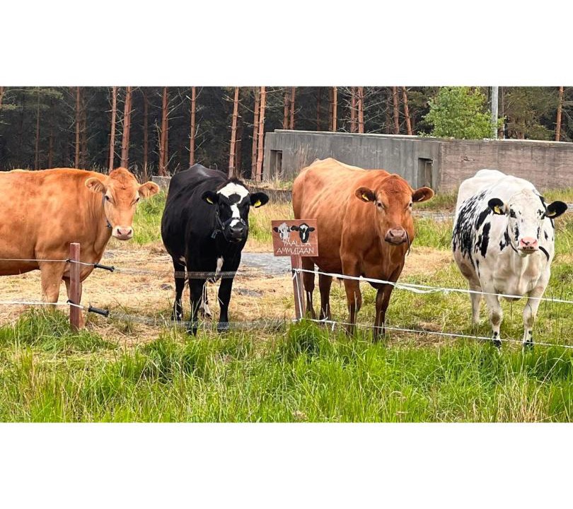Photo of Others in Kustavi