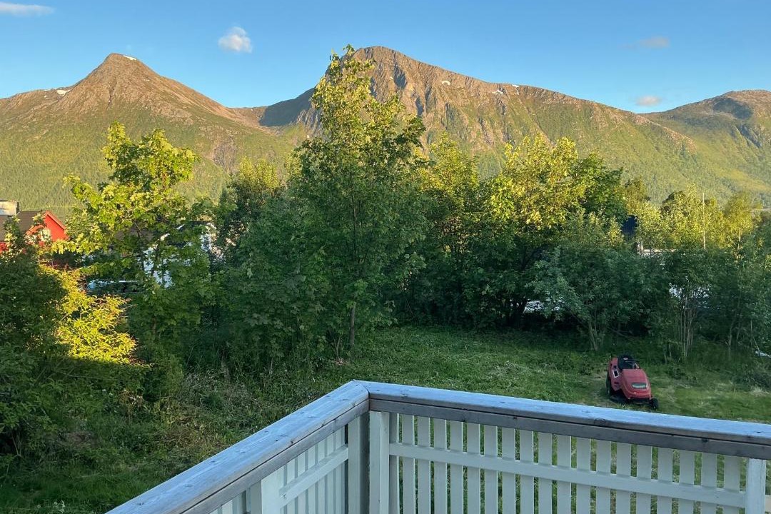 Photo of Others in Sortland