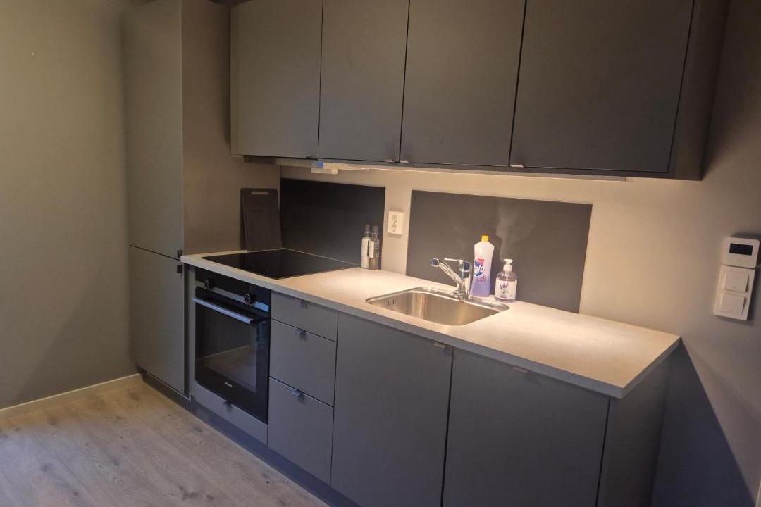 Photo of Kitchen in Honefoss