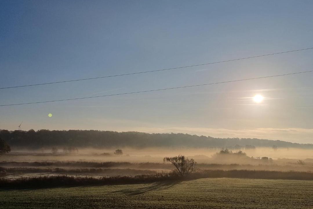 Photo of Others in Lyckeby