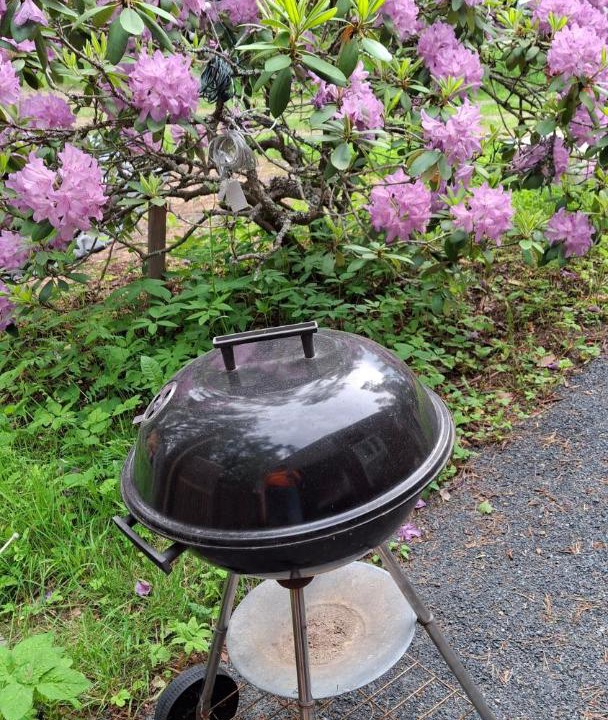 Photo of Outdoor in Vihti