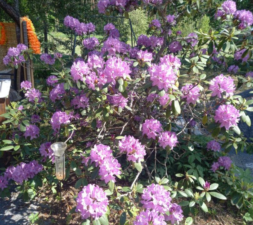 Photo of Outdoor in Vihti