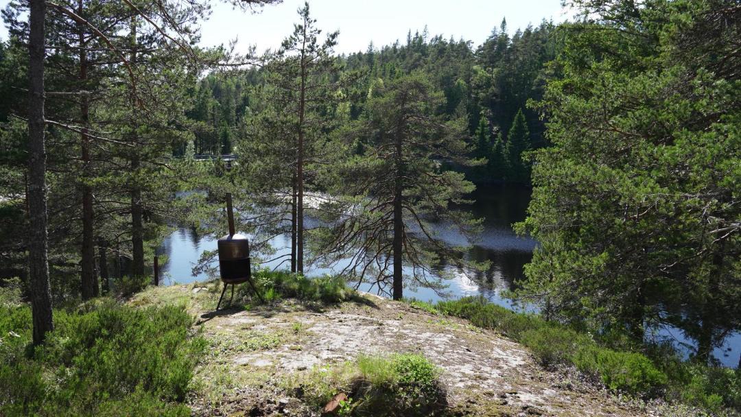 Photo of Others in Birkeland