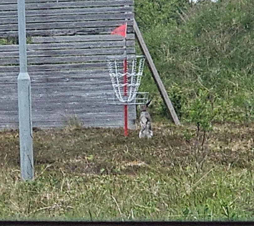 Photo of Others in Andoy