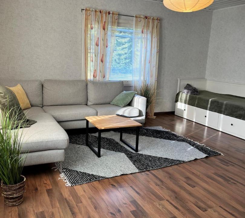 Photo of Livingroom in Pori