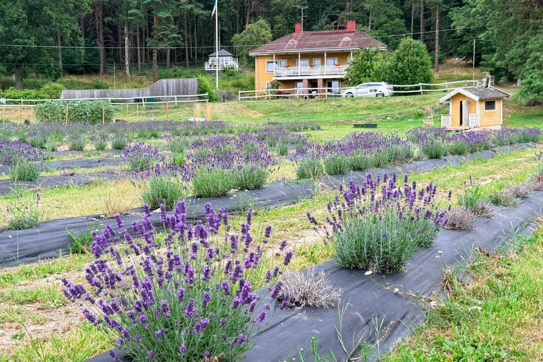 Photo of Outdoor in Upplands-Bro Municipality