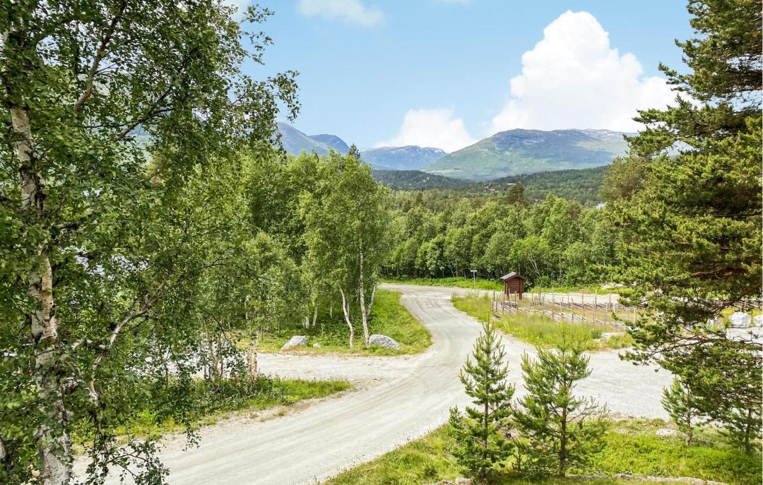 Photo of Others in Bjorli