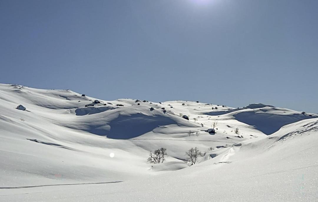 Photo of Others in Fidjeland