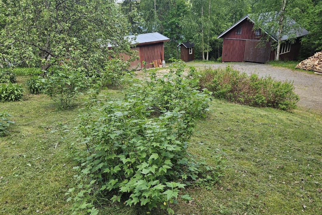 Photo of Others in Leppavirta