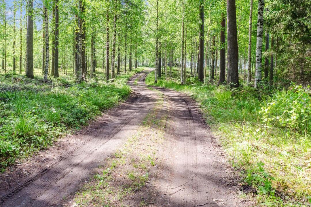 Photo of Outdoor in Juuka