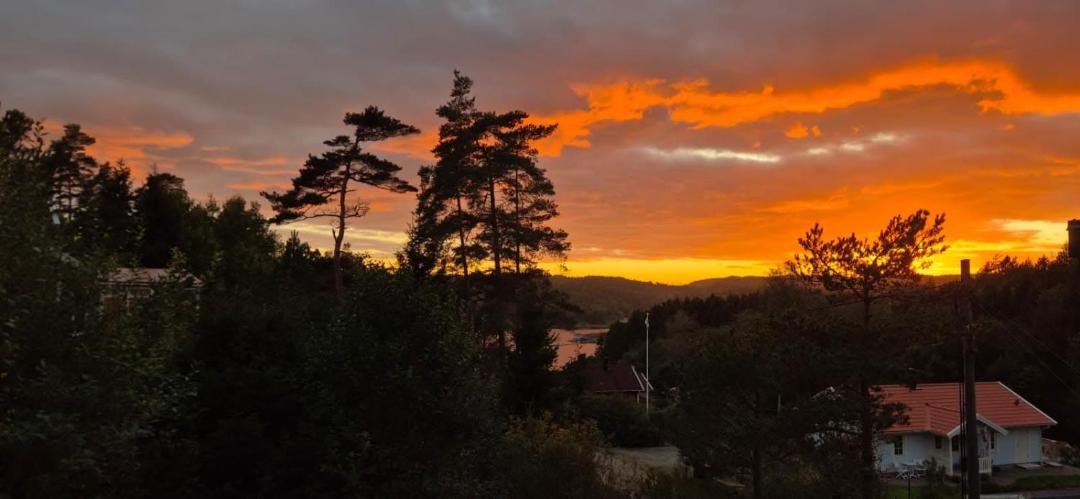 Photo of Others in Munkedal