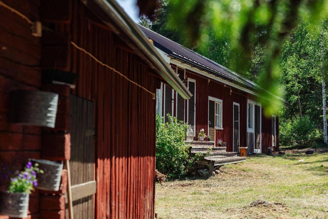 Photo of Others in Tiainen