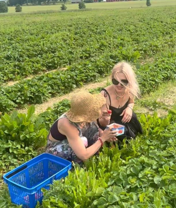 Photo of Others in Katrineholm