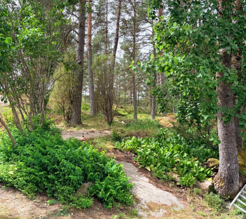 Photo of Others in Kustavi