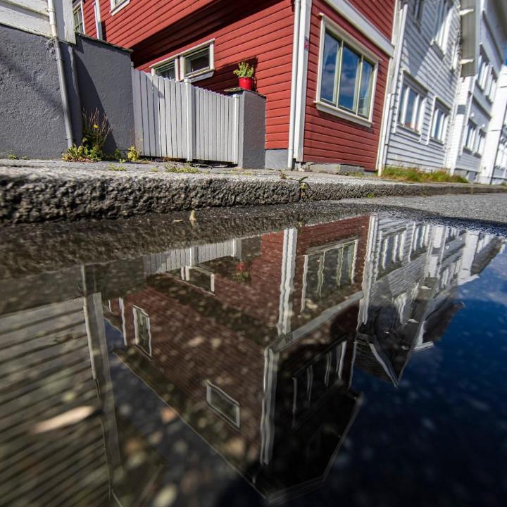 Photo of Others in Haugesund