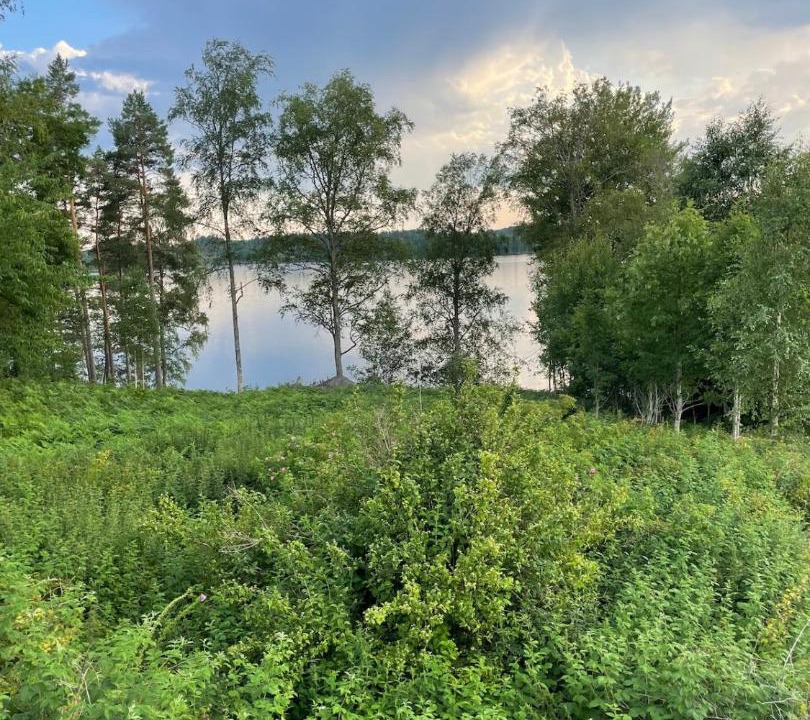Photo of Others in Arjang