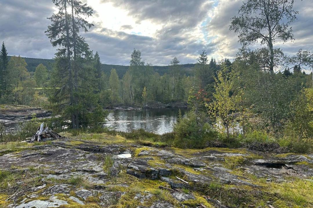 Photo of Others in Meraker