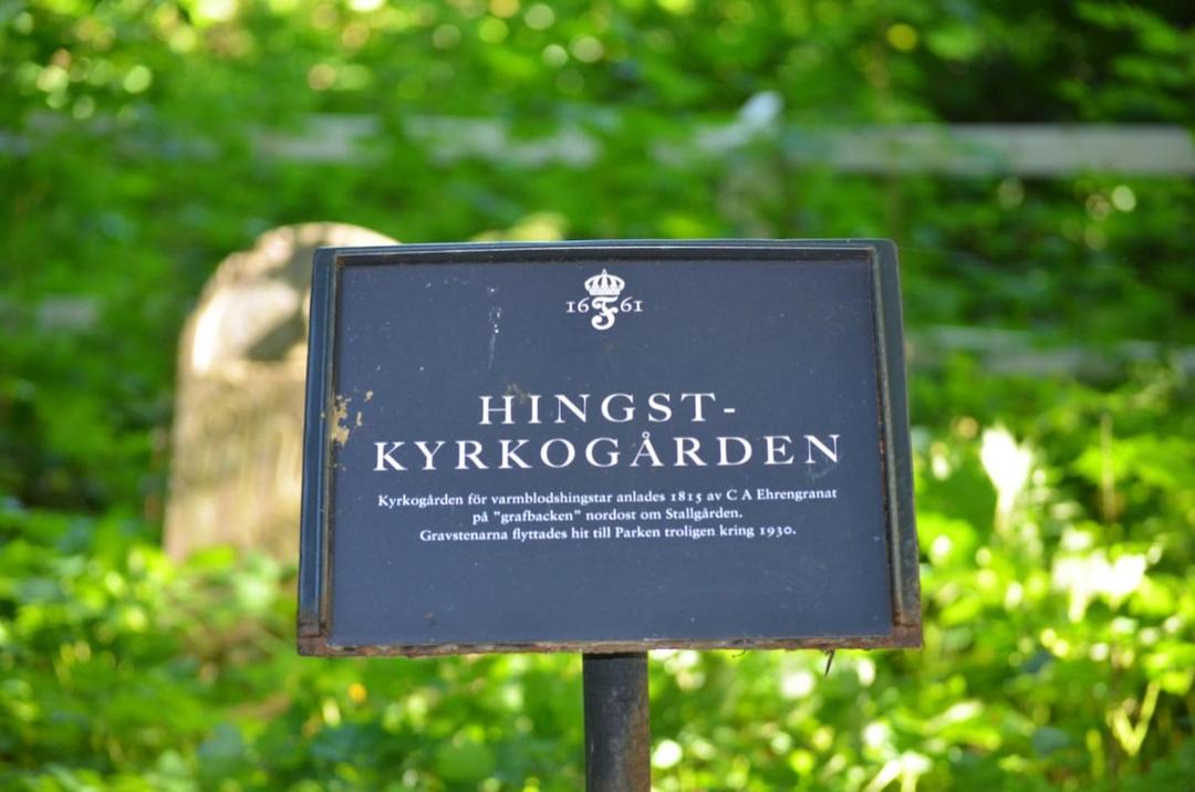 Photo of Others in Flyinge