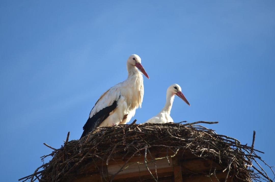 Photo of Others in Flyinge