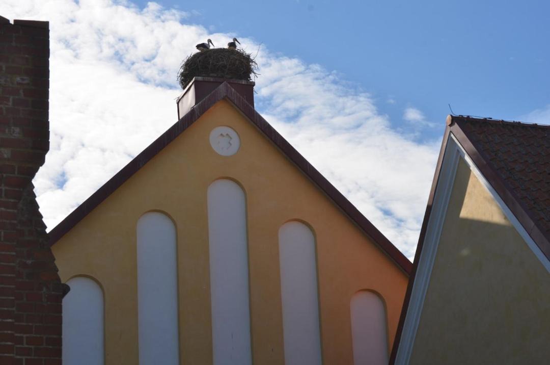 Photo of Buildings in Flyinge