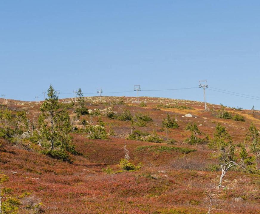 Photo of Others in Krodsherad