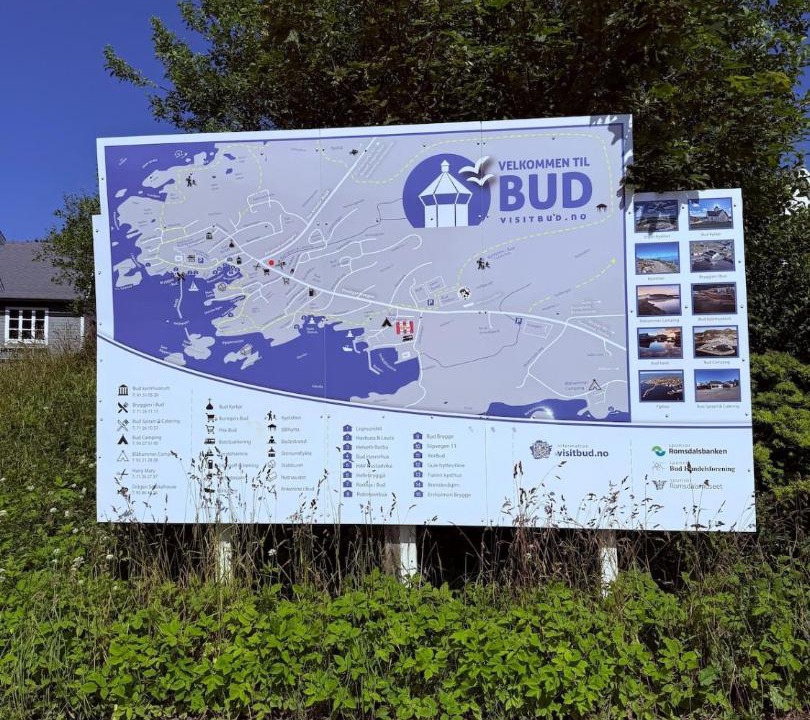 Photo of Others in Bud