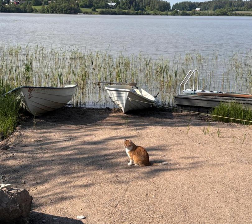 Photo of Others in Artjarvi