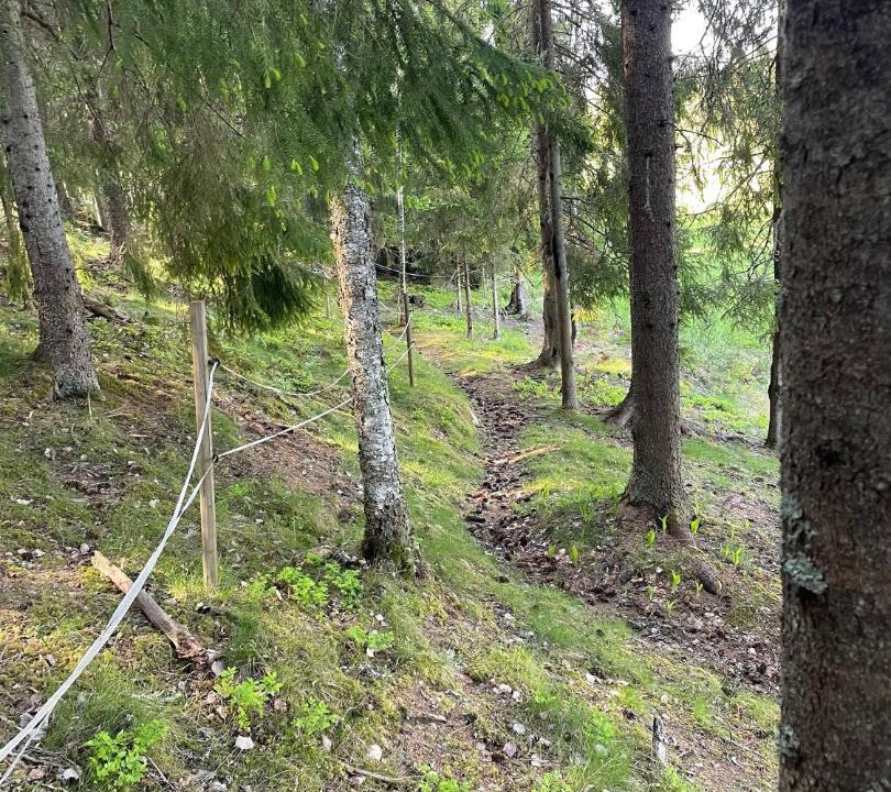 Photo of Outdoor in Nora Municipality