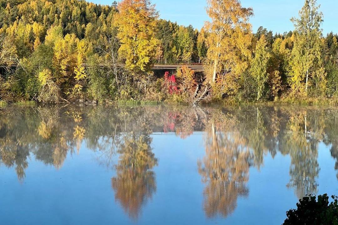Photo of Others in Dala-Husby