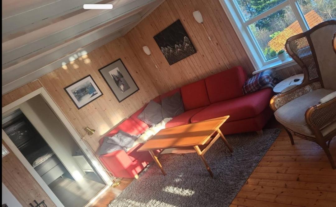 Photo of Others in Haugesund