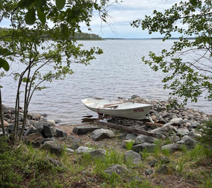 Photo of Others in Koli National Park