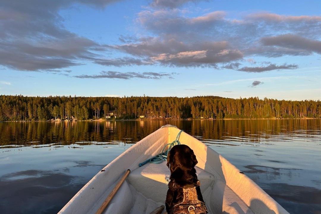 Photo of Others in Koli National Park