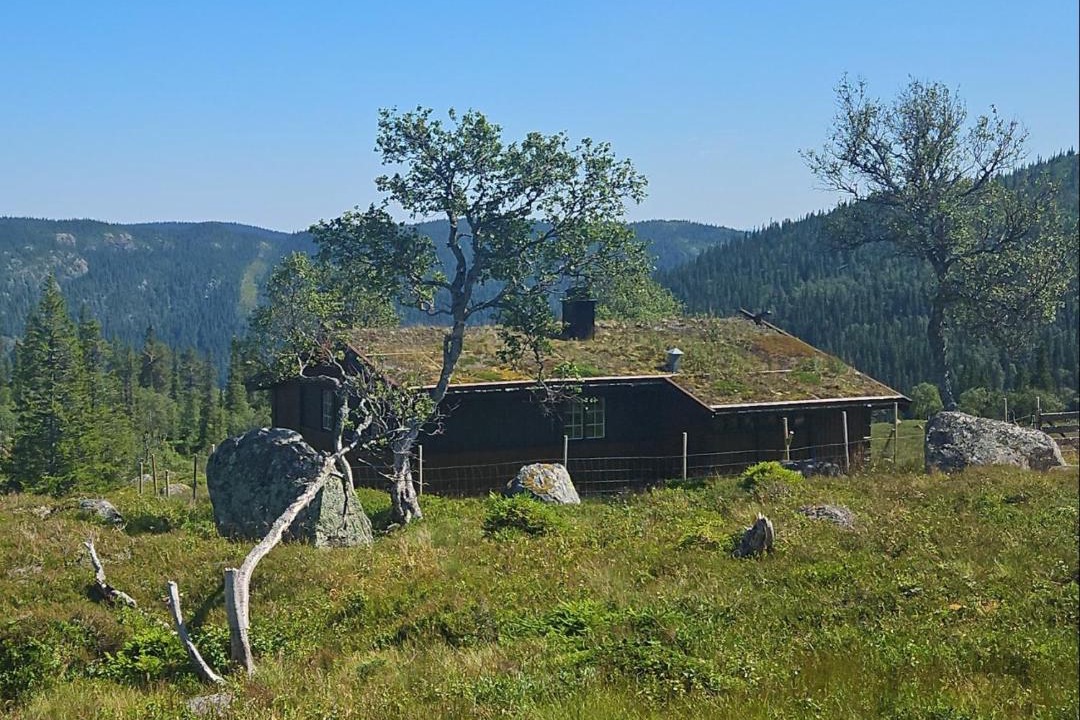 Photo of Others in Vinje