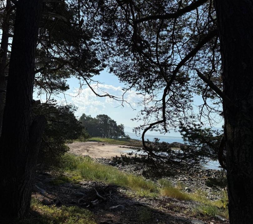 Photo of Others in Molde
