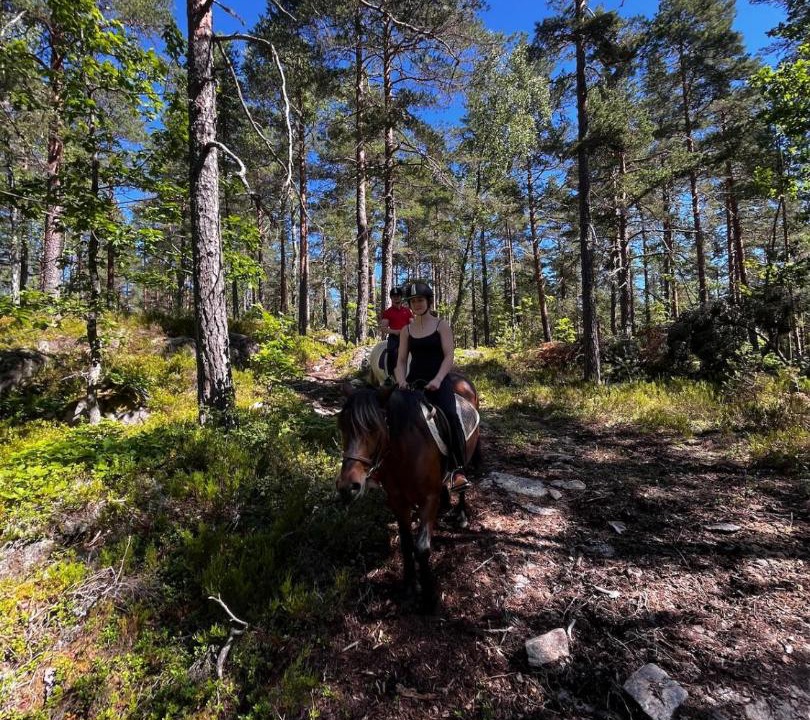 Photo of Others in Skien