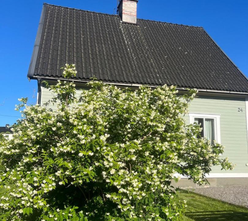 Photo of Others in Åmål