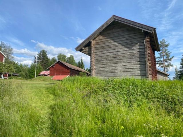 Photo of Others in Alvdalen